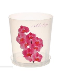 Цветочный горшок для орхидеи с поддоном М7687 3 5 л прозрачный 1 шт Альтернатива