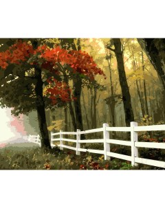 Картина по номерам Осенний лес 50х40 см Selfica