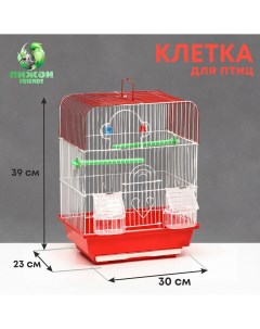 Клетка для птиц квадратная с кормушками 30 х 23 х 39 см красная Пижон