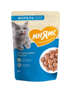 Корм для кошек для красивой шерсти кусочки в соусе с форелью пауч 85г Мнямс