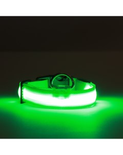 Ошейник с подсветкой зарядка от usb размер s ош 34 41 см 3 режима зеленый Пижон