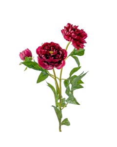 Искусственный цветок Пион 76 см бордовый Mayblummy