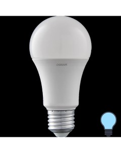 Лампа светодиодная Antibacterial E27 220 240 В 10 Вт груша 1055 лм холодный белый Osram