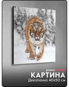 Картина декопанно Амурский тигр DP 4031 40х50 см Postermarket