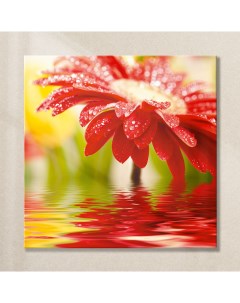 Картина на стекле Красный цветок AG 30 08 30х30 см Postermarket
