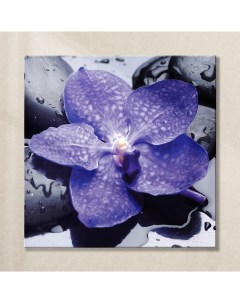 Картина на стекле Орхидея AG 30 04 30х30 см Postermarket