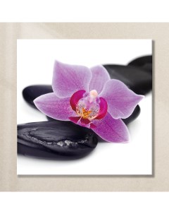 Картина на стекле Орхидея AG 30 16 30х30 см Postermarket