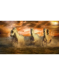 Картина на холсте 60x110 Животные лошади белые брызги 36 Linxone