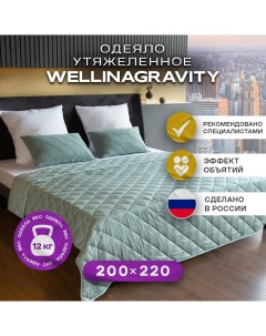 Утяжеленное сенсорное одеяло 200х220 мятный 12кг WGS 22 Wellinagravity