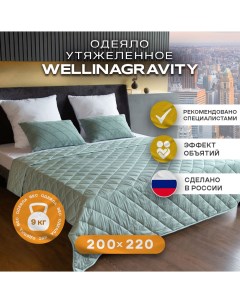Утяжеленное одеяло 200х220 мятный 9кг WGS 22 Wellinagravity