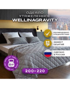 Утяжеленное одеяло 200х220 серый 12кг WGS 22 Wellinagravity