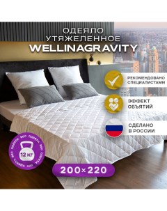 Утяжеленное одеяло 200х220 белый 12кг WGS 22 Wellinagravity