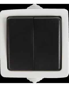 Переключатель накладной влагозащищенный Aqua 2 клавиши IP54 цвет серый Lk studio