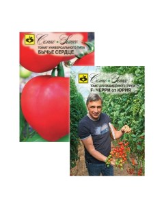 Семена томат Бычье сердце черри от юрия F1 23 01268 Семко