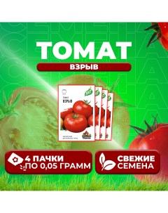 Семена томат Взрыв 1071858431 4 4 уп Удачные семена