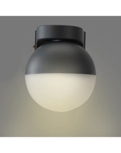 Светильник настенный с круговым основанием 35 Вт IP54 цвет черный Apeyron