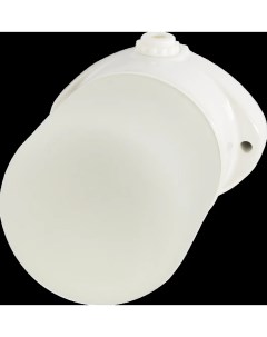 Светильник накладной для сауны TDM 1хE27х60 Вт IP54 Tdm еlectric