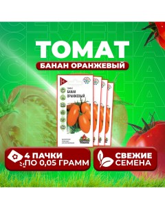 Семена томат Банан оранжевый 1071858387 4 4 уп Удачные семена