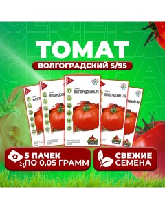 Семена томат Волгоградский 5 95 1071858393 5 5 уп Удачные семена