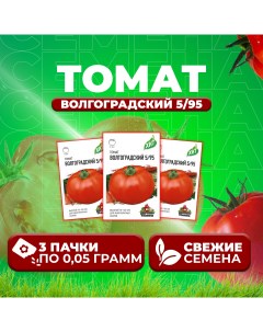 Семена томат Волгоградский 5 95 1071858434 3 3 уп Удачные семена