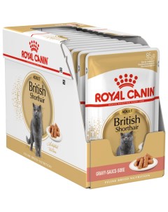 Влажный корм для кошек British Shorthair Adult мясо 24шт по 85г Royal canin