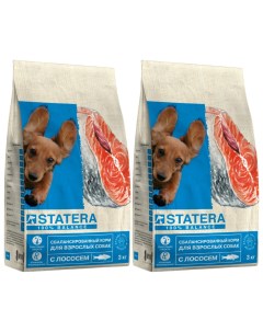 Сухой корм для собак с лососем 2 шт по 3 кг Statera