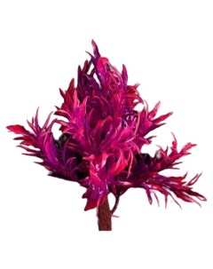 Искусственное растение аквариумное розово фиолетовый 18 см 2 шт Пижон