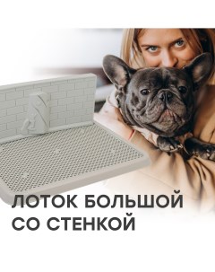 Туалет лоток со стенкой для собак большой L 67х52х28 серый BP1311G Stefan
