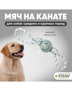 Игрушка для собак мяч на канате Шпагат 6 5х6 5х39 Stefan