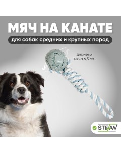 Игрушка для собак мяч на веревке Комета 6 5х6 5х32 Stefan
