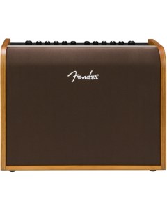 Комбоусилитель для акустической гитары ACOUSTIC 100 Fender