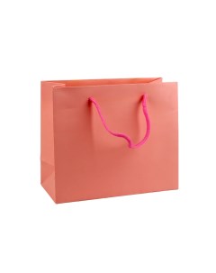 Пакет подарочный Розовый Ламинат PLM33192 18 5 9 5 21 см 1 шт Accessories