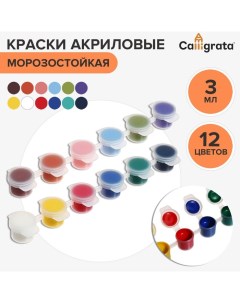 Краска акриловая набор 12 цветов х 3 мл морозостойкие в пакете 2шт Calligrata