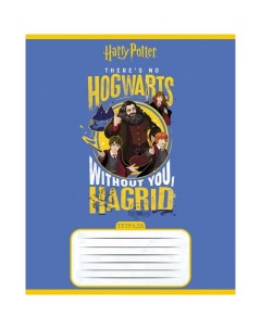 Тетрадь 18 листов в клетку Гарри Поттер обложка мелованный картон скругленные углы МИКС Hatber