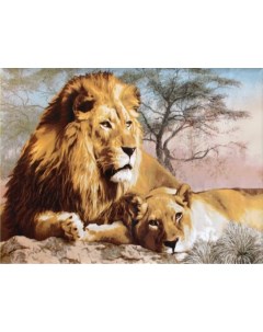 Алмазная мозаика SZX636 лев со львицей на подрамнике 20х30 Nobrand