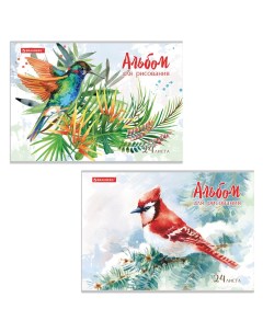 Альбом для рисования А4 24 л 202х285 мм Райские птички 2 вида 105609 20 шт Brauberg