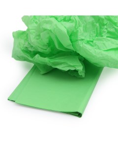 Упаковочная бумага 7726648_00018 FT 41 тишью матовая зеленая 0 7м Astra&craft