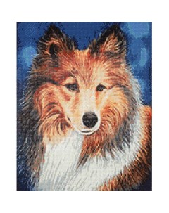 Cr 450069 Алмазная мозаика Портрет собаки Колли 40 50 см Cristyle