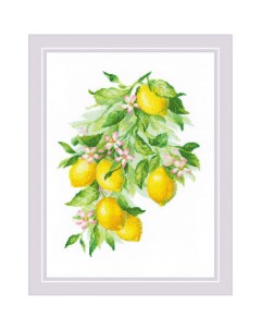Набор для вышивания 2054 Яркие лимоны Риолис