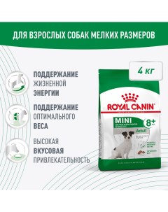 Корм для собак Mini Adult 8 для мелких пород до 10кг старше 8 лет сух 4кг Royal canin