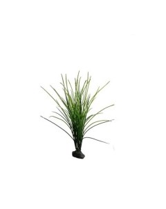 Растение для террариумов декоративное Congo Grass 50 см Германия Lucky reptile