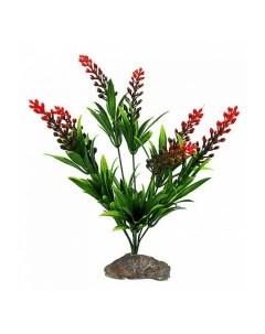 Растение для террариумов декоративное Borneo Grass 30 см Германия Lucky reptile