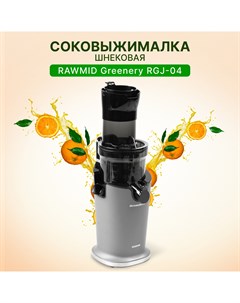 Соковыжималка шнековая RGJ 04 200 Вт серебристая Rawmid