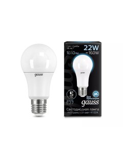 Светодиодная лампа Black LED A70 E27 22W 4100K 102502222 x10 Gauss