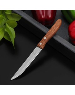 Нож кухонный Эльбрус гладкое лезвие 11 5 см Nobrand