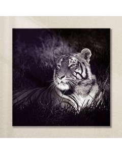 Картина Тигр AG 30 43 30х30 см на стекле Postermarket
