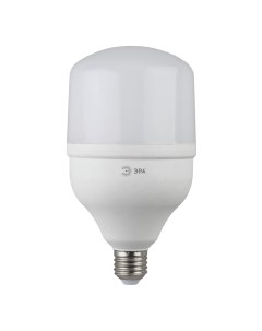 Светодиодная лампа ЭРА 40 Вт E27 T холодный свет Nobrand