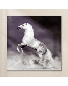 Картина на стекле Лошадь AG 30 45 30х30 см Postermarket