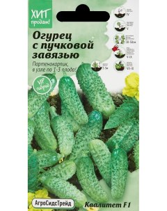 Семена овощей огурец с пучковой завязью Квалитет F1 5 шт Агросидстрейд