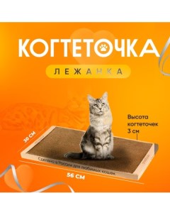 Когтеточка картонная для кошек 56х30 см Когтедралка